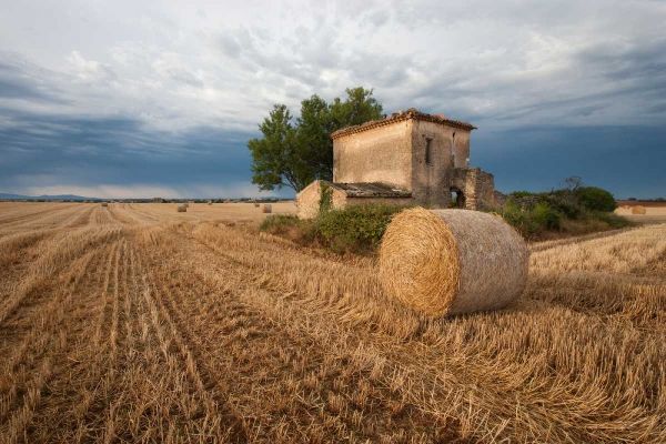 Europe, France Hay bale in Provence field